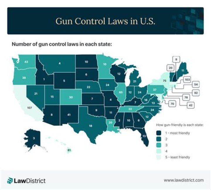 
Gun laws in Texas: Background check, safety course and more 
