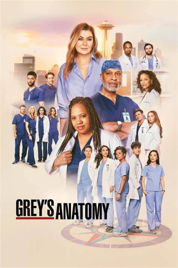 When Will Season 17 of ‘Grey’s Anatomy’ be on Netflix?